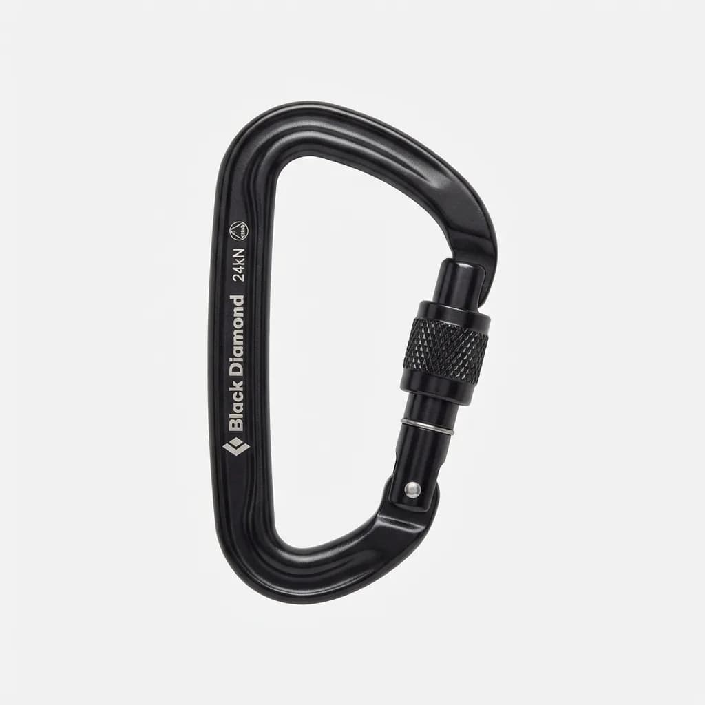 Black Diamond Positron Screwgate Carabiner