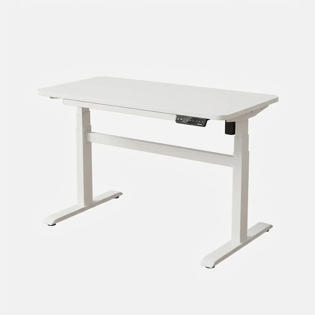 FlexiSpot 48x24 Electric Standing Desk