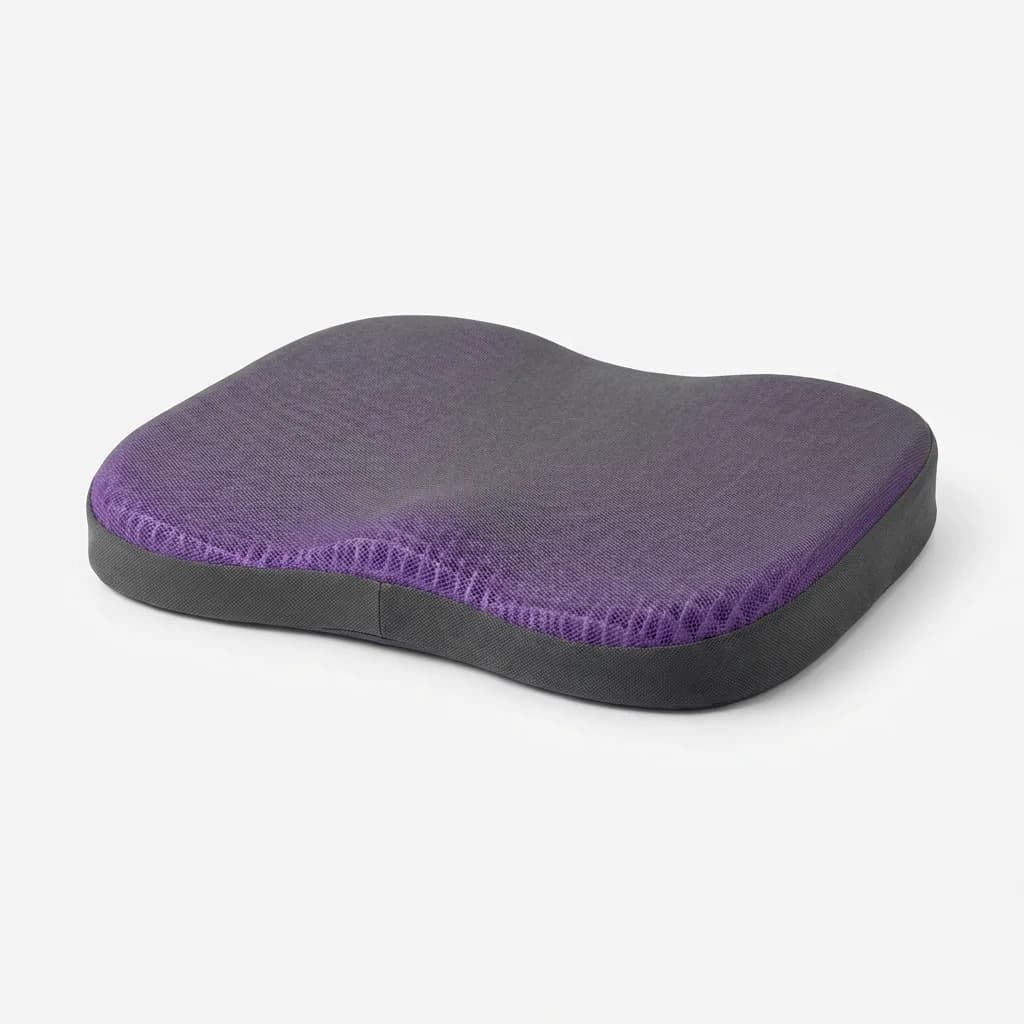 Purple Double Seat Cushion