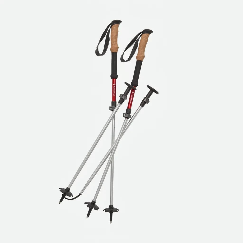 Black Diamond Trail Pro Shock Trekking Poles